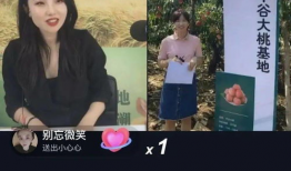 桃隱中短視頻,探尋隱秘桃花源，揭秘人間仙境