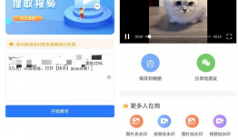 短視頻下載無水印,輕松保存心儀內(nèi)容