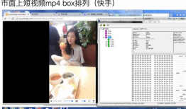 mp4格式短視頻,濃縮時(shí)光的藝術(shù)精華