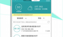91釣魚直播平臺(tái),揭秘釣魚高手們的精彩瞬間與技巧分享