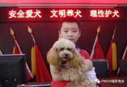 瑞安91電臺直播,實時捕捉城市脈搏，暢享精彩瞬間