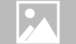 照明商店漫畫解析,照明商店里的智慧之光