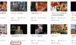 短視頻抄襲,揭秘內(nèi)容同質(zhì)化背后的秘密