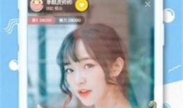 夜直播91,揭秘網(wǎng)絡(luò)直播的激情與挑戰(zhàn)