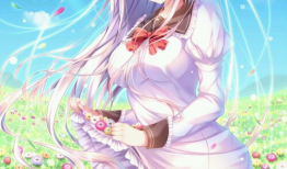 二次元漫畫美女,穿越次元的愛戀之旅