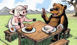 熊漫畫(huà)家,趣味橫生的動(dòng)物世界